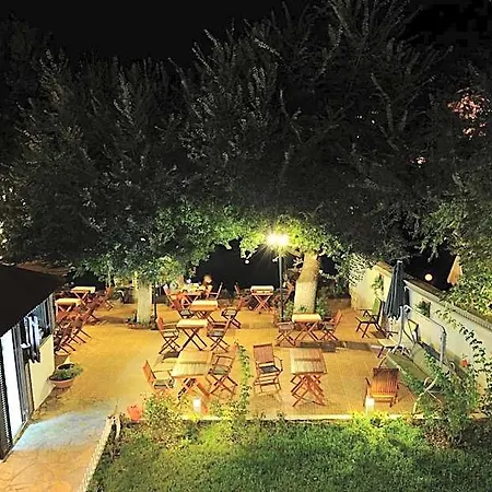 Kano Dalyan